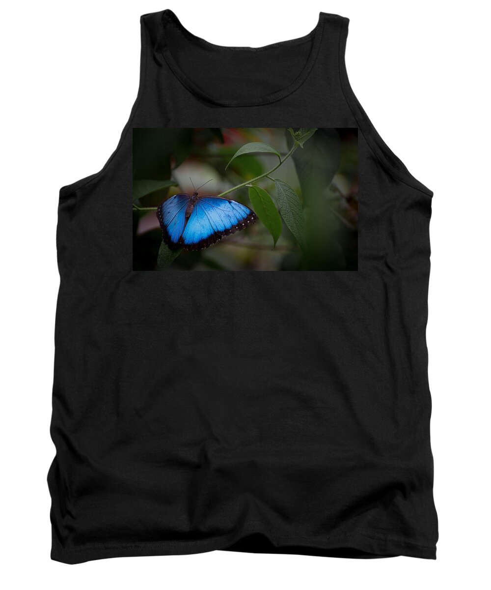 Penny Lisowski Tank Top featuring the photograph Glowing Blue by Penny Lisowski