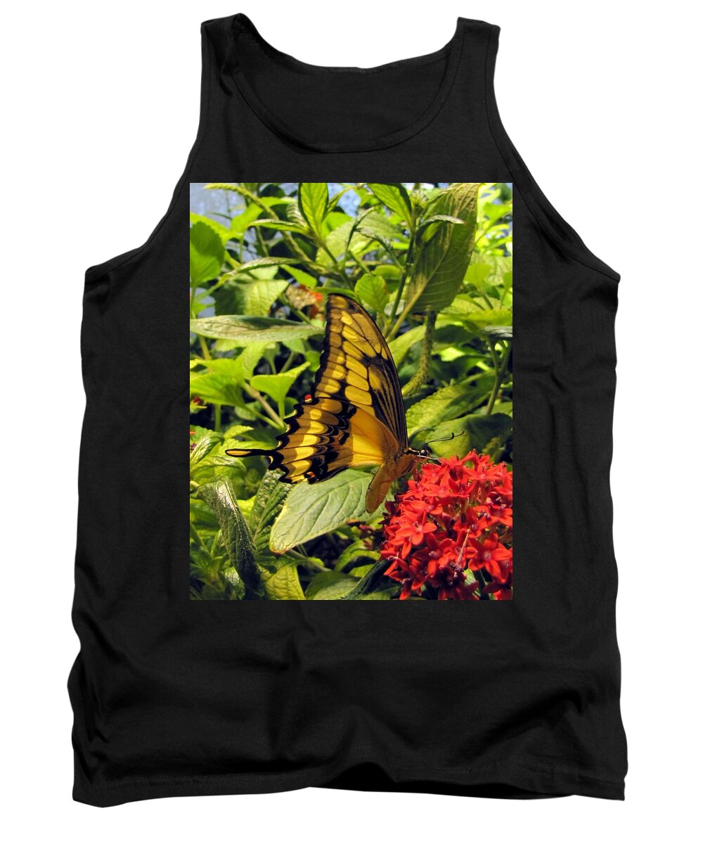 Wings Tank Top featuring the photograph Gold Giant Swallowtail by Jennifer Wheatley Wolf