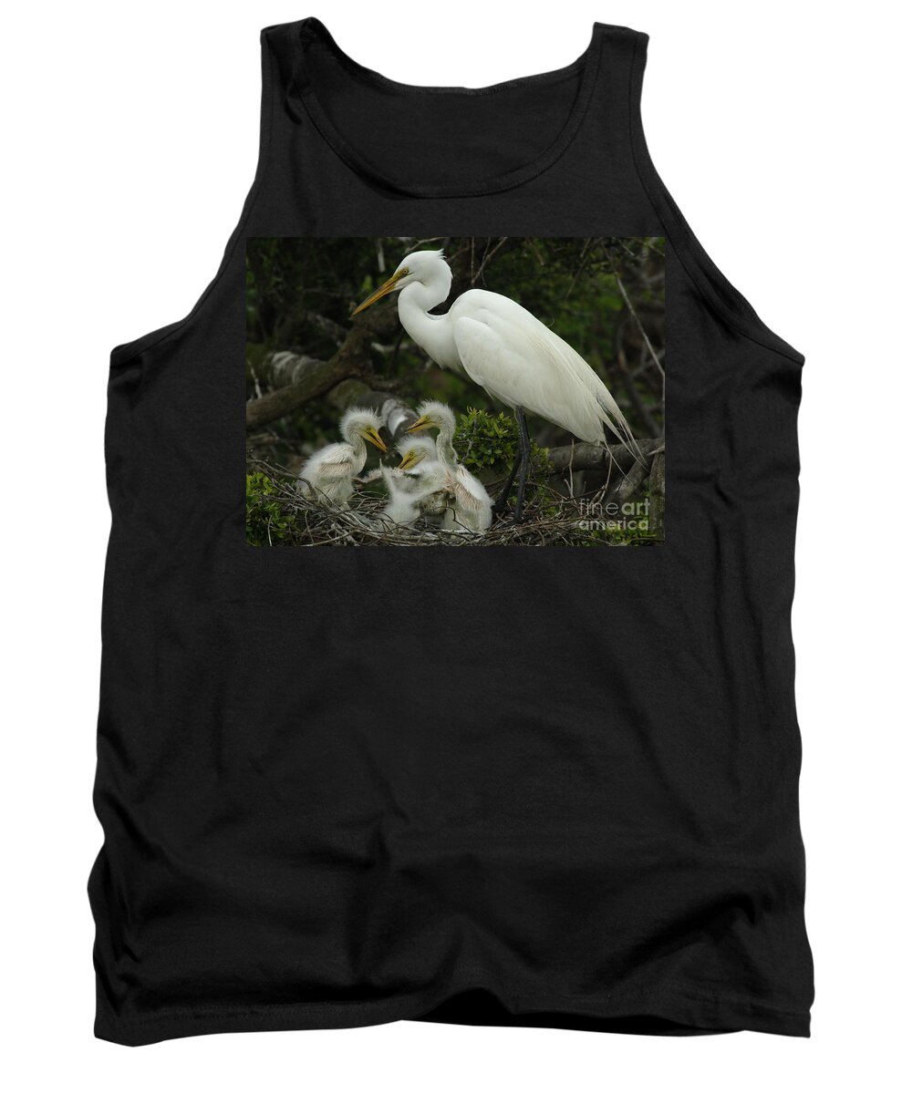 Great Egret Family Tank Top featuring the photograph Great Egret With Young by Bob Christopher