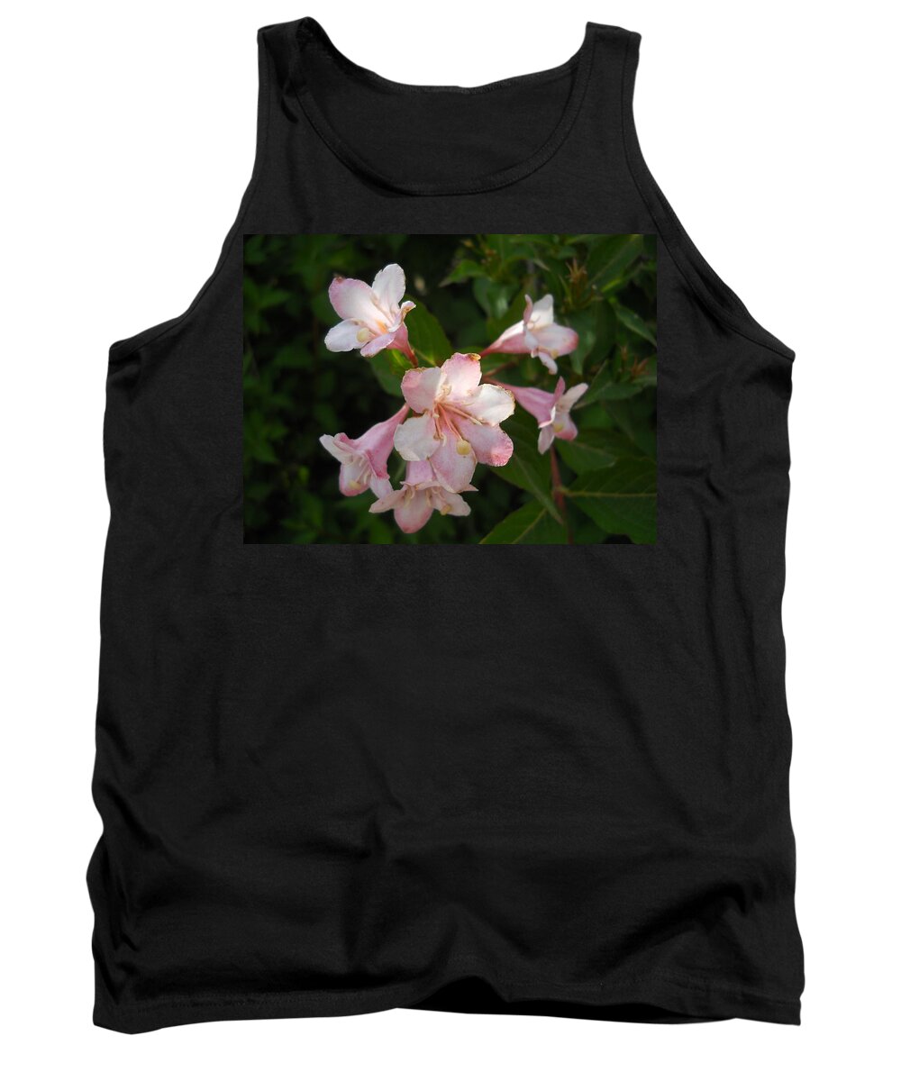 Pink Tank Top featuring the photograph Hanging with Friends by Yolanda Raker