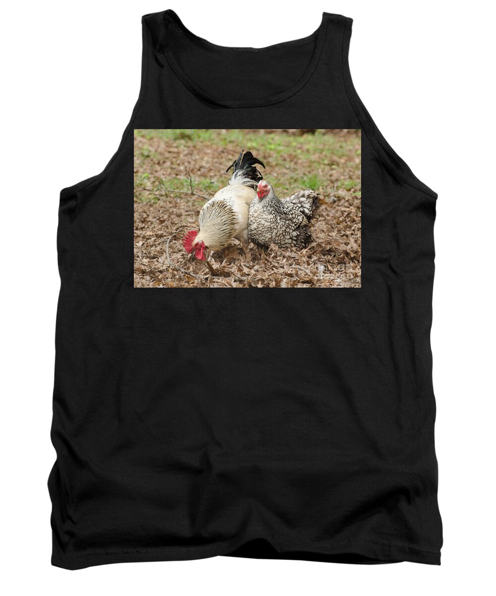 Birds Tank Top featuring the photograph Harry And Lacy by Donna Brown