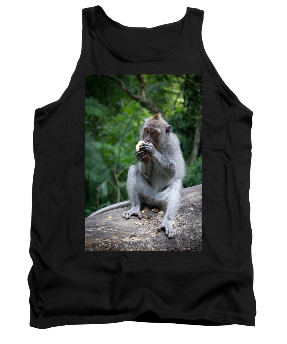 Animal Tank Top featuring the photograph Having A Little Lunch by Christie Kowalski