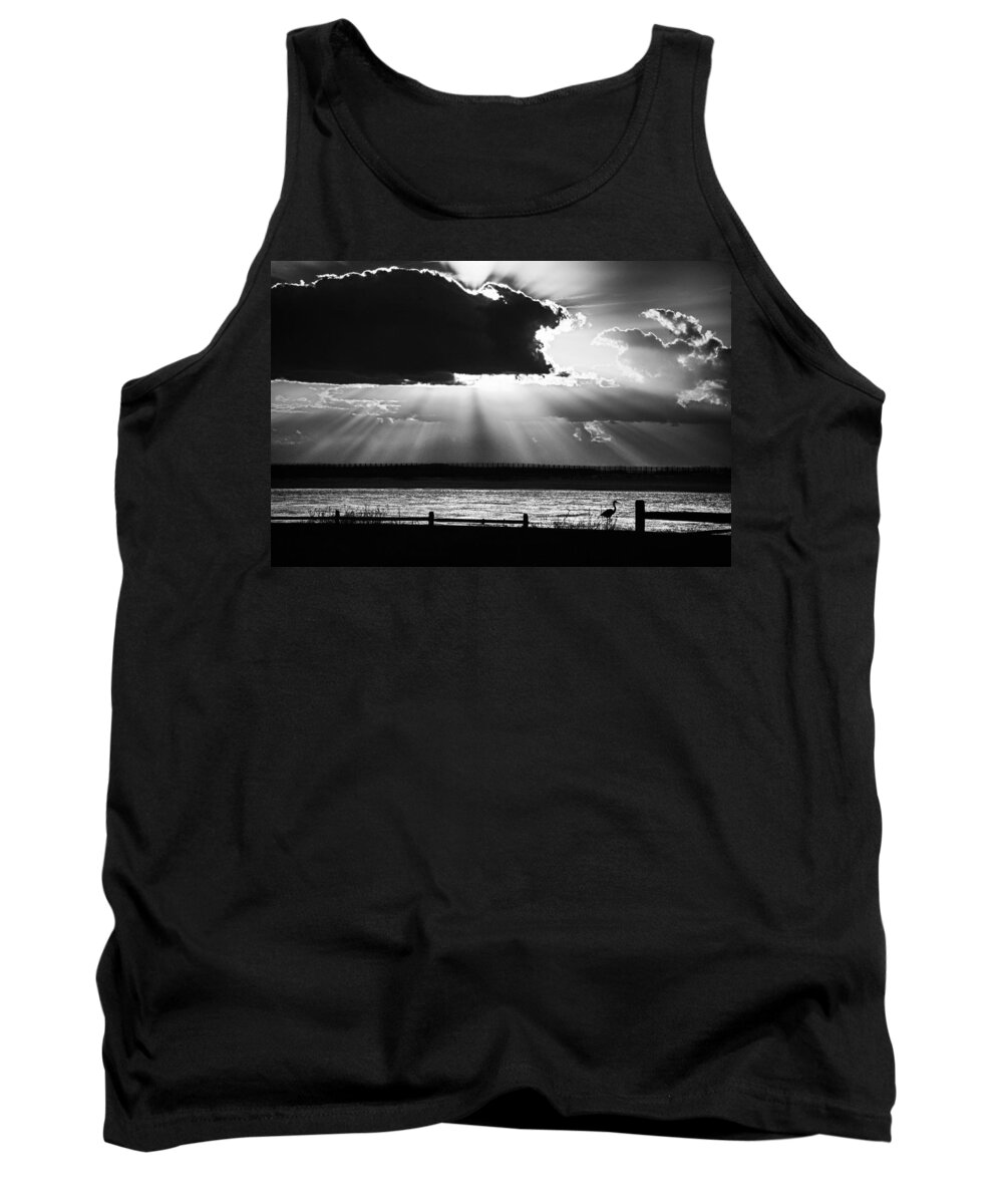 Alabama Tank Top featuring the photograph Heron and the Cloudburst by Michael Thomas