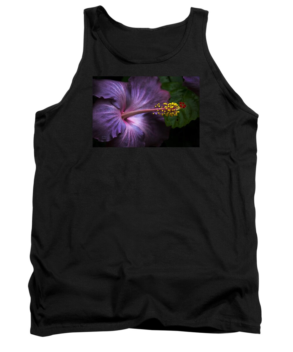 Bloom Tank Top featuring the photograph Hibiscus Bloom in Lavender by Julie Palencia