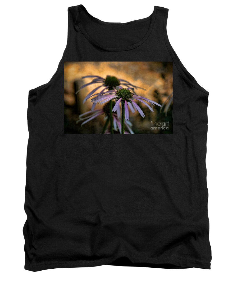 Shadow And Light Tank Top featuring the photograph Hiding In The Shadows by Peggy Hughes