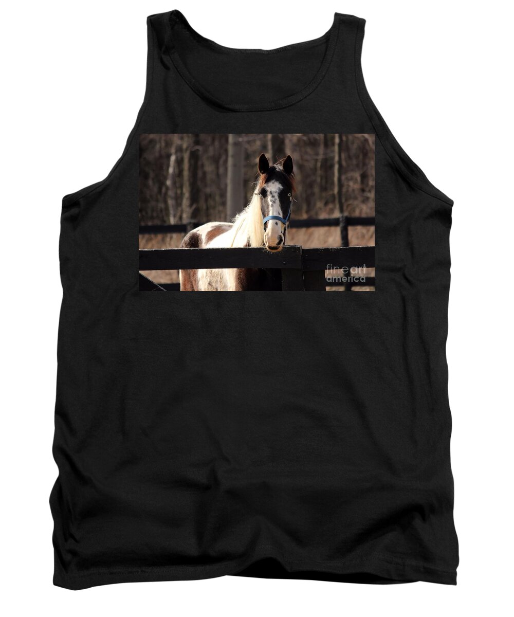 Horse Tank Top featuring the photograph Horse at the Gate by Janice Byer