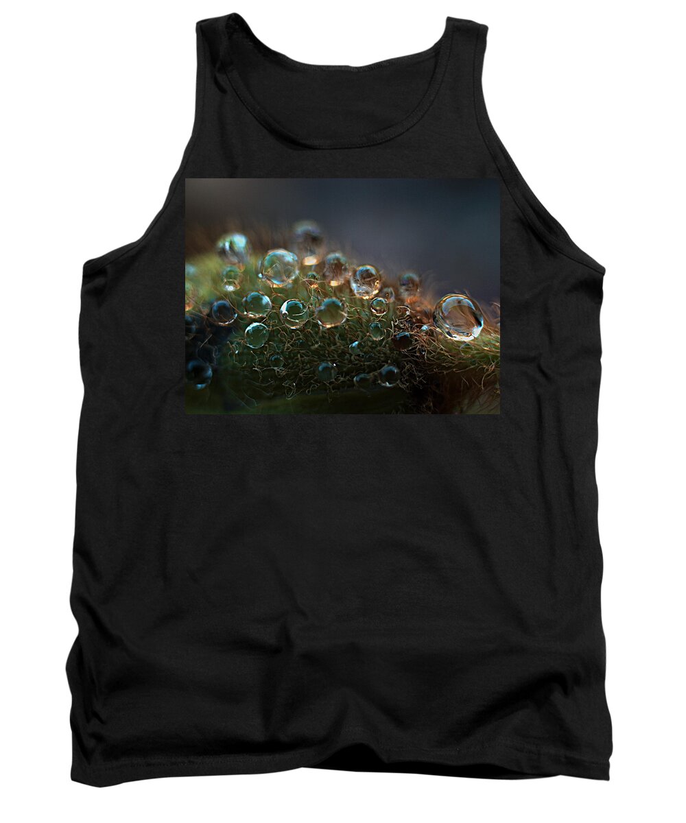 Dew Tank Top featuring the photograph How Bizzahh by Joe Schofield