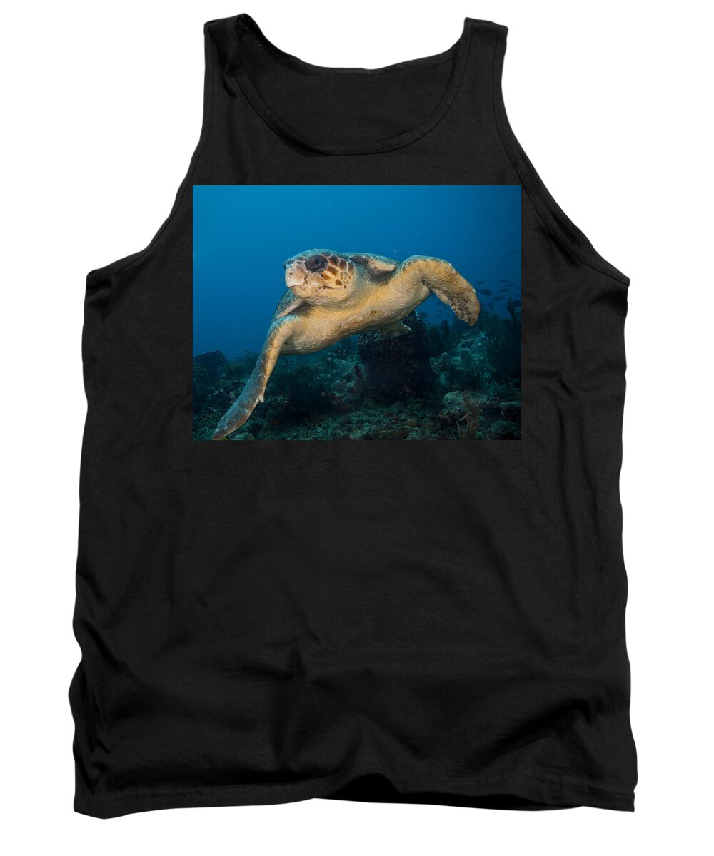 Angle Tank Top featuring the photograph I Am Big by Sandra Edwards