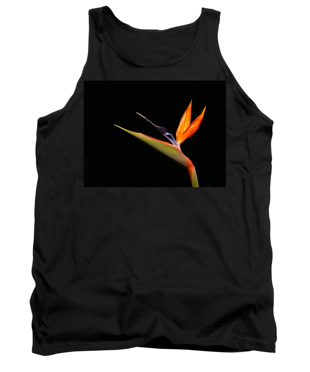Bird Of Paradise Tank Top featuring the photograph I love you too by Evelyn Tambour