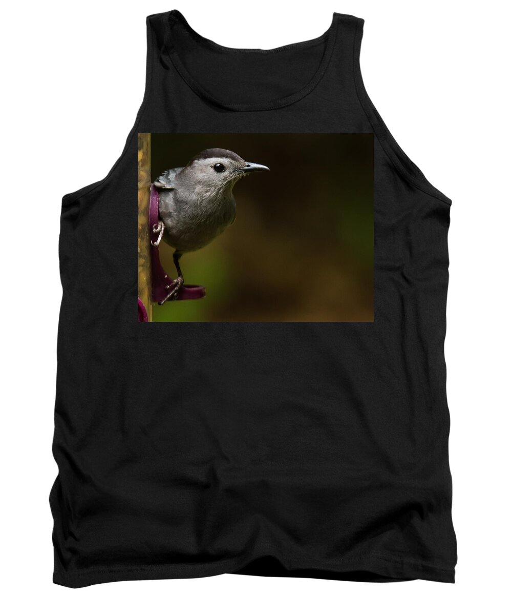 Gray Catbird Tank Top featuring the photograph I'm a cat bird and I sound like one too by Robert L Jackson