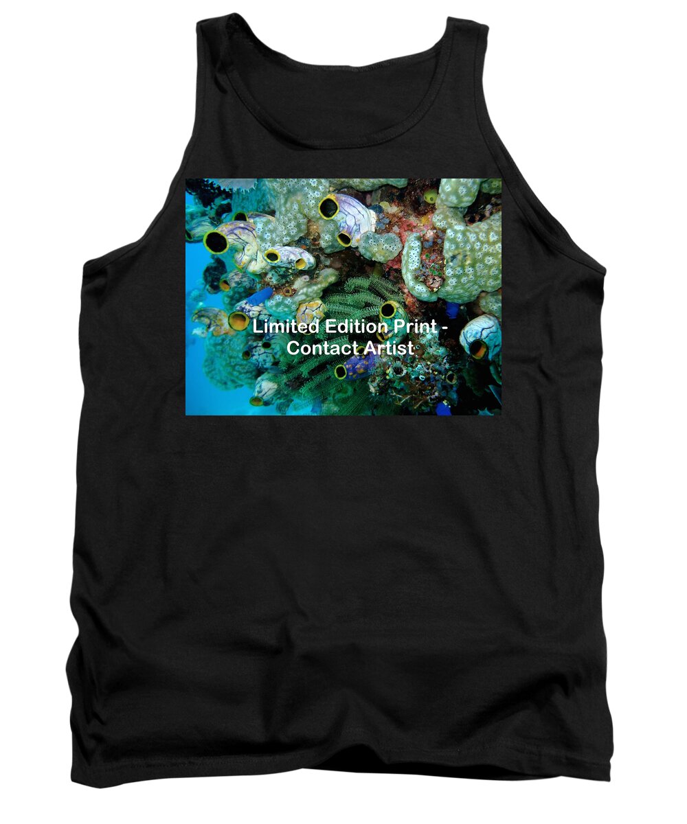 Indonesia Tank Top featuring the photograph Komodo Island 5 by David Beebe
