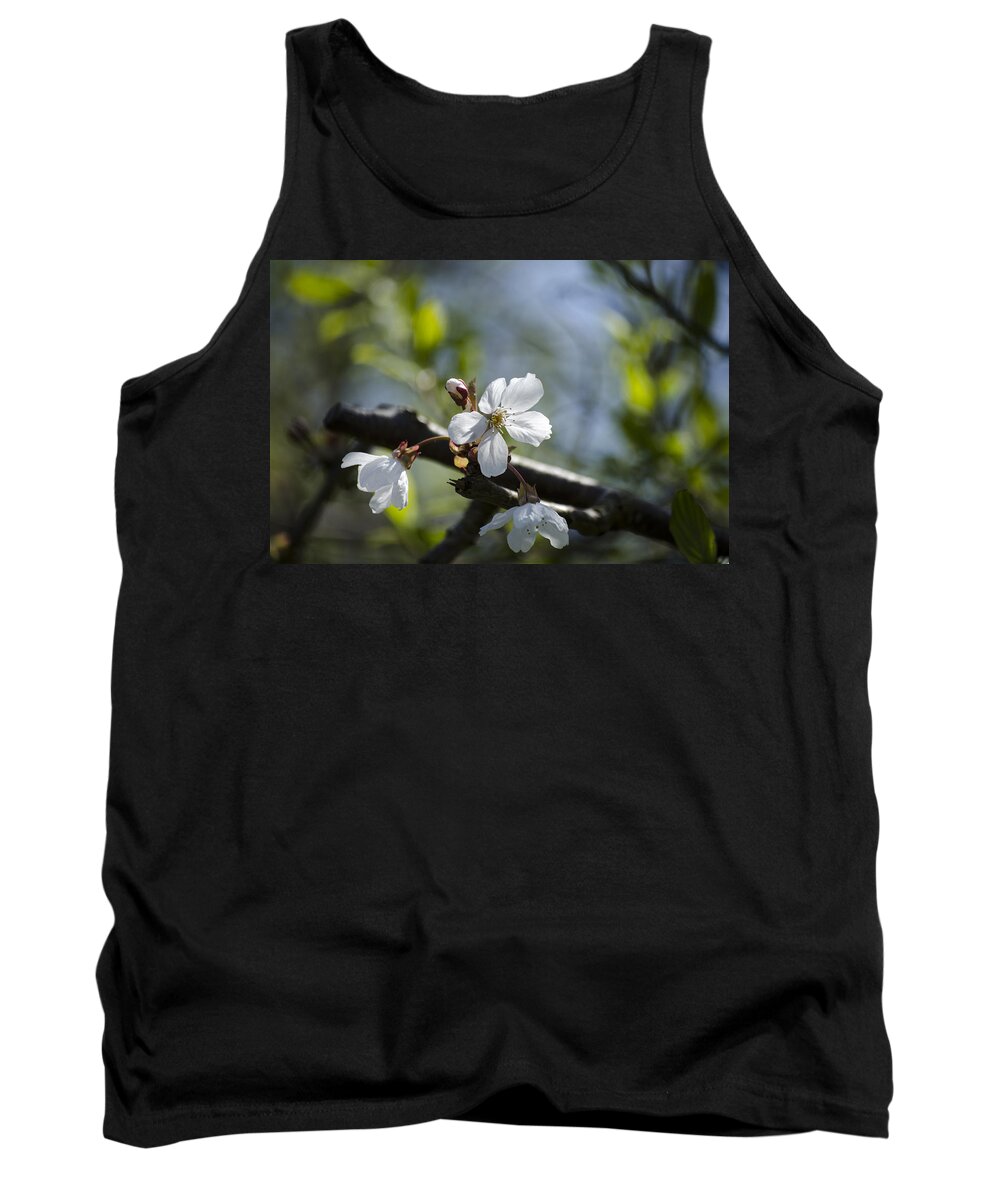 Green Tank Top featuring the photograph Late Spring Blossom by Spikey Mouse Photography
