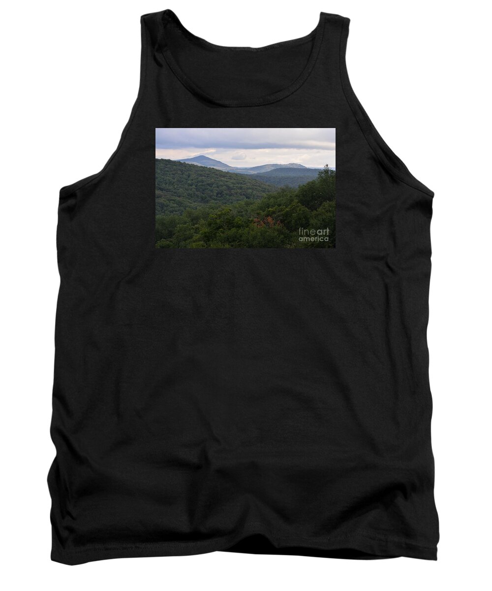 Mountain Scenes Tank Top featuring the photograph Laurel Fork Overlook II by Randy Bodkins