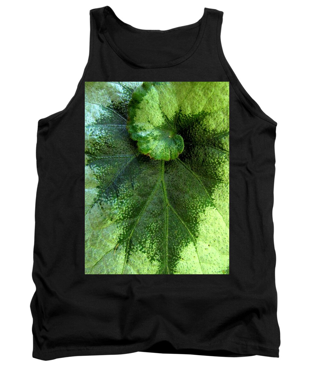 Leaf Tank Top featuring the photograph Leafy Greens by Lori Lafargue