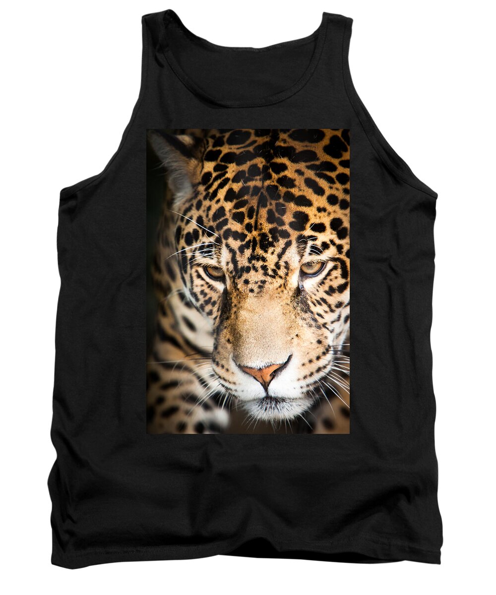 Animal Tank Top featuring the photograph Leopard resting by John Wadleigh
