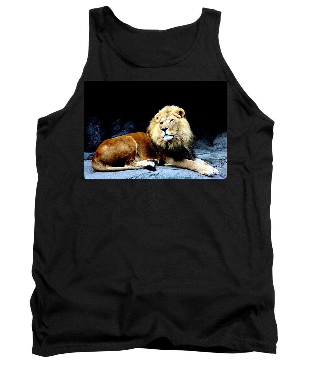 Lion Tank Top featuring the photograph Lion Looking by Nick Gustafson