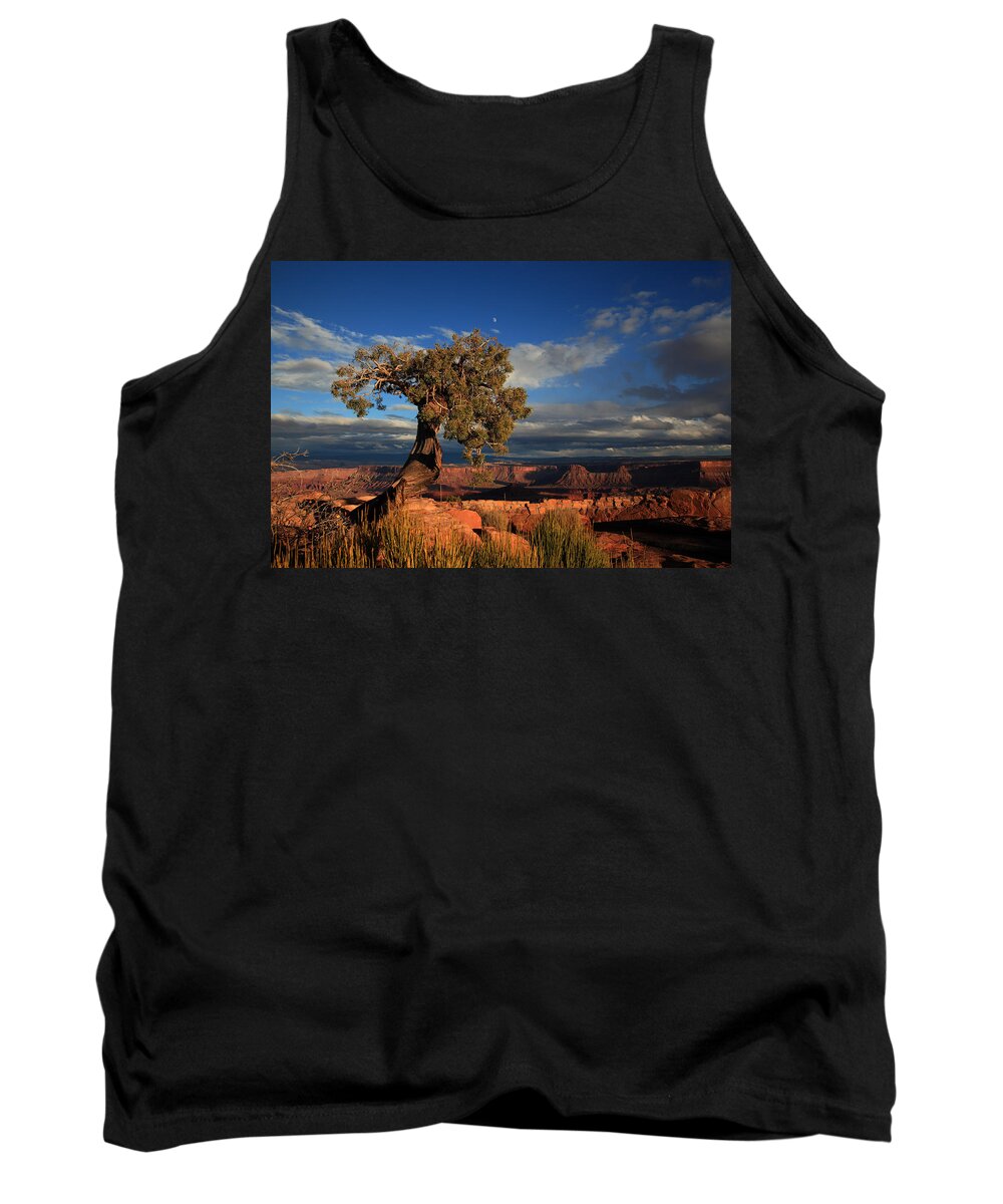 Utah Tank Top featuring the photograph Lone Juniper on the Edge at Dead Horse Point by Alan Vance Ley