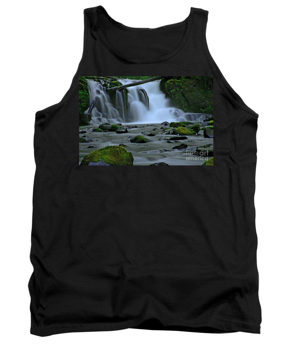  Area Tank Top featuring the photograph Lower McDowell Creek Falls by Nick Boren
