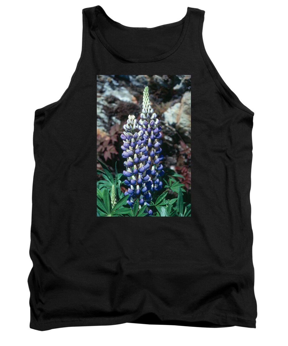 Flower Tank Top featuring the photograph Lupine 2 by Andy Shomock