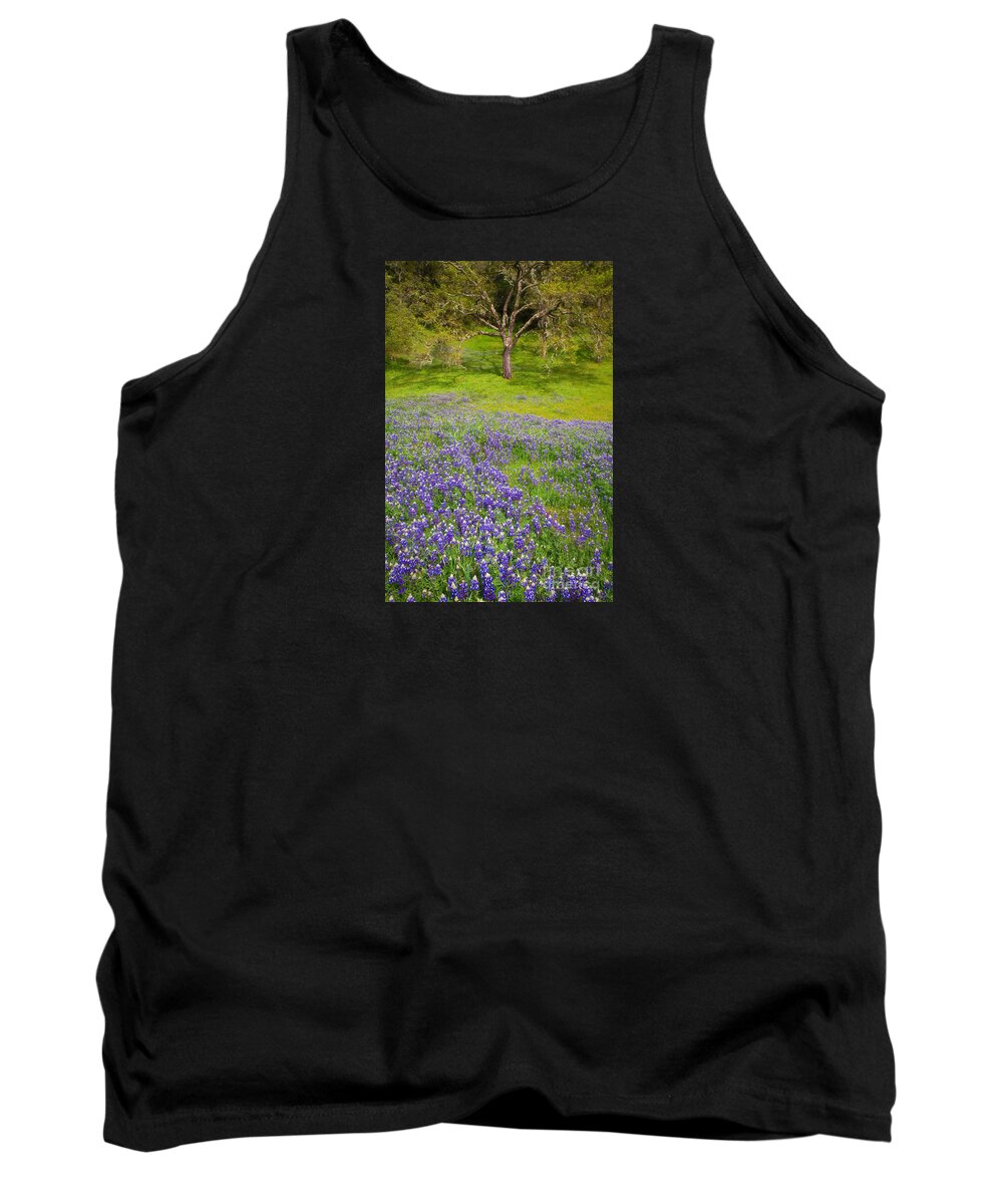 California Tank Top featuring the photograph Lupine Oak by Alice Cahill
