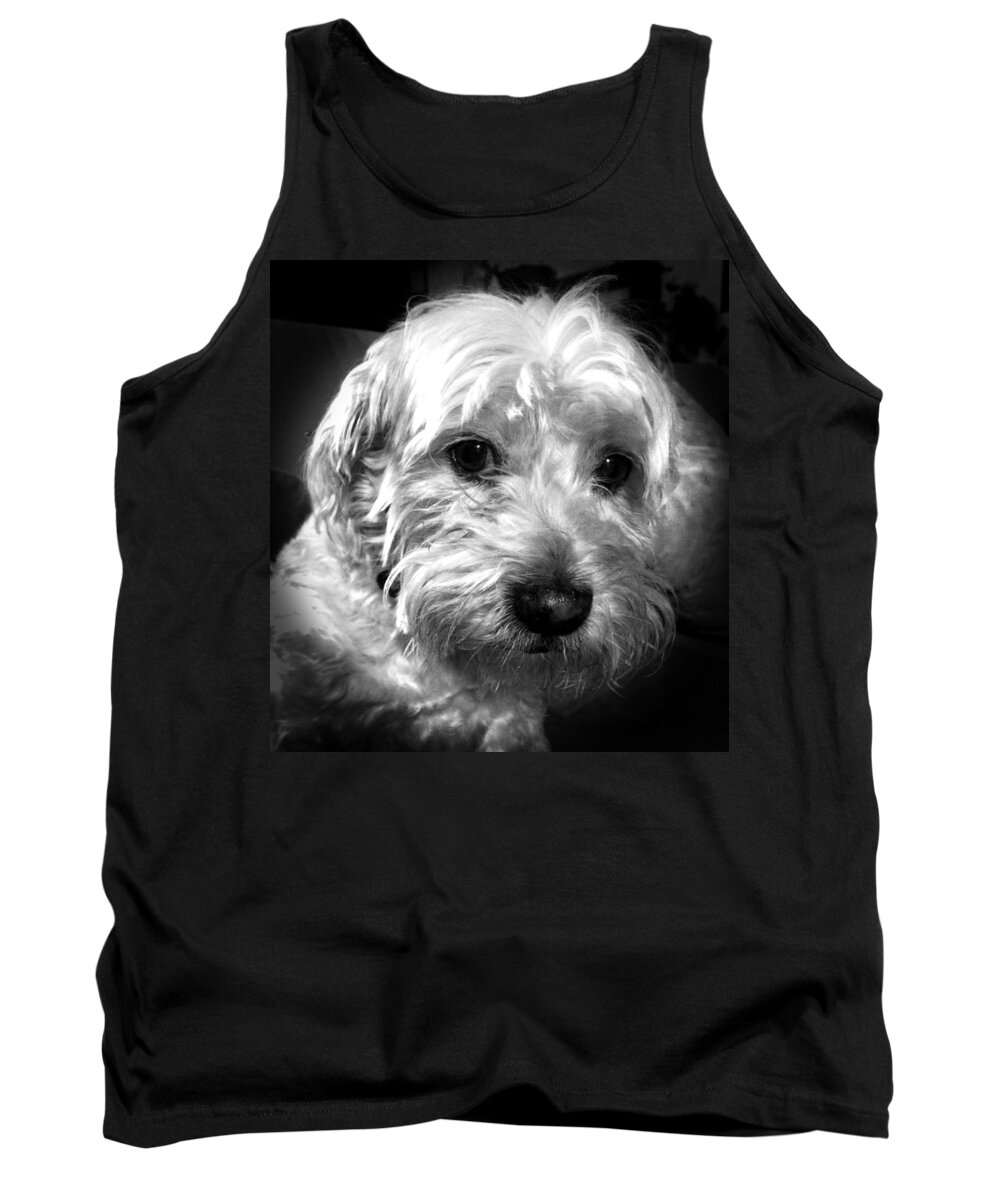 Pet Tank Top featuring the photograph Lupita by David Resnikoff