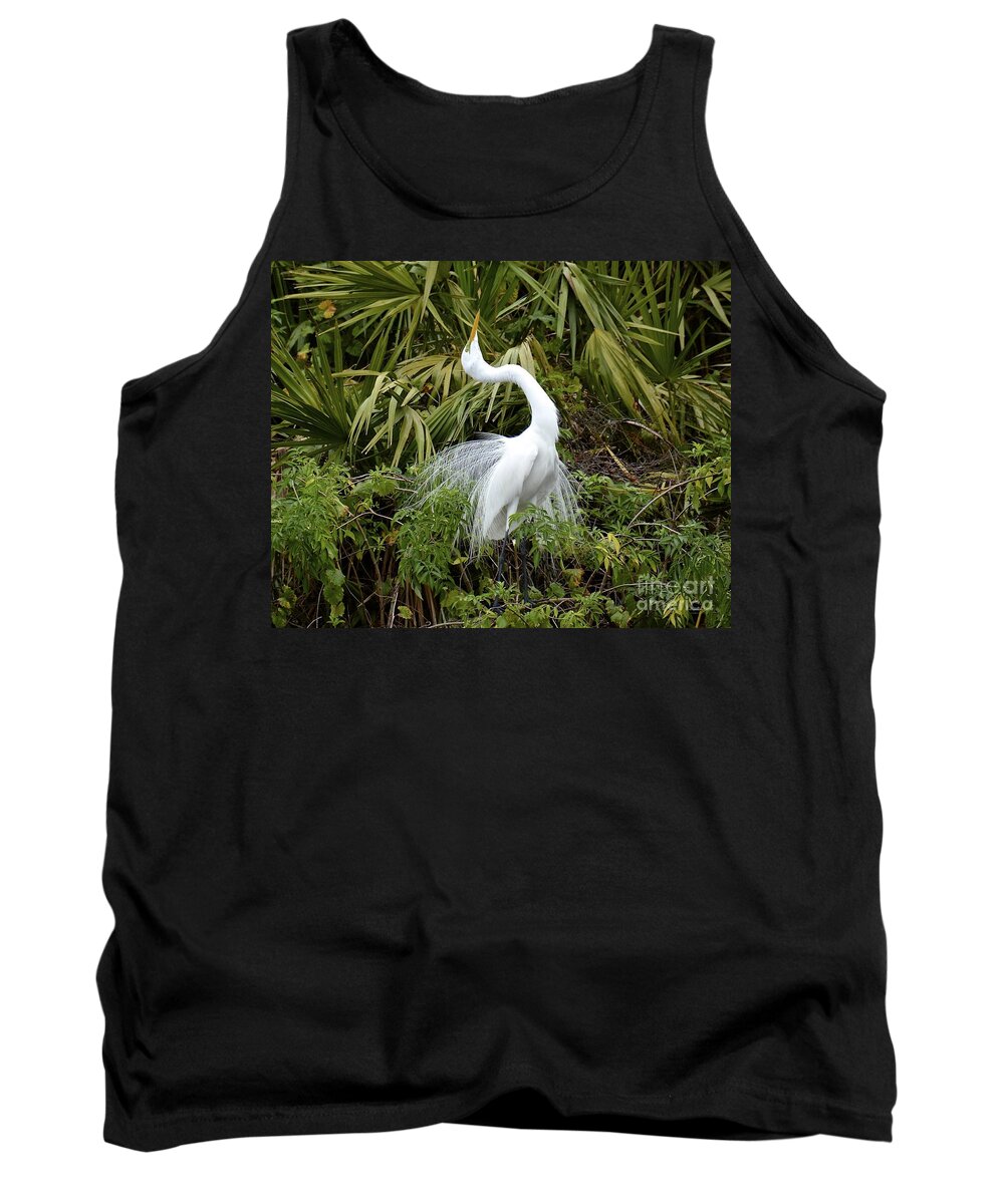 Egret Tank Top featuring the photograph The Devine Ms E by Carol Bradley