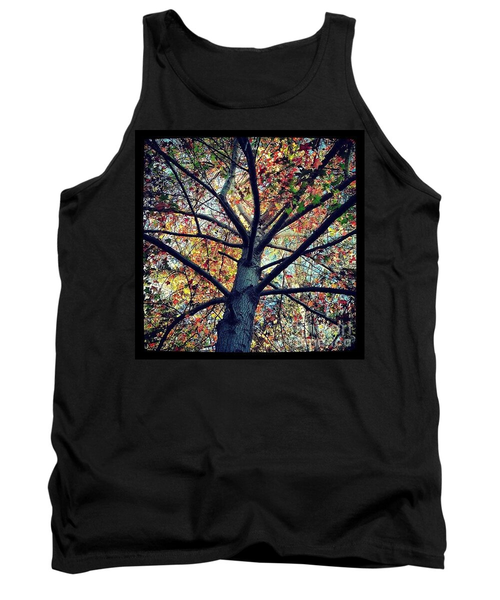 Liquid Amber Tank Top featuring the photograph My Friend by Denise Railey
