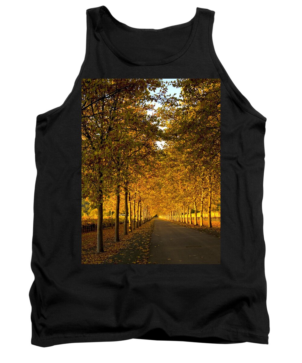 Napa Valley Tank Top featuring the photograph Napa Valley Fall by Bill Gallagher