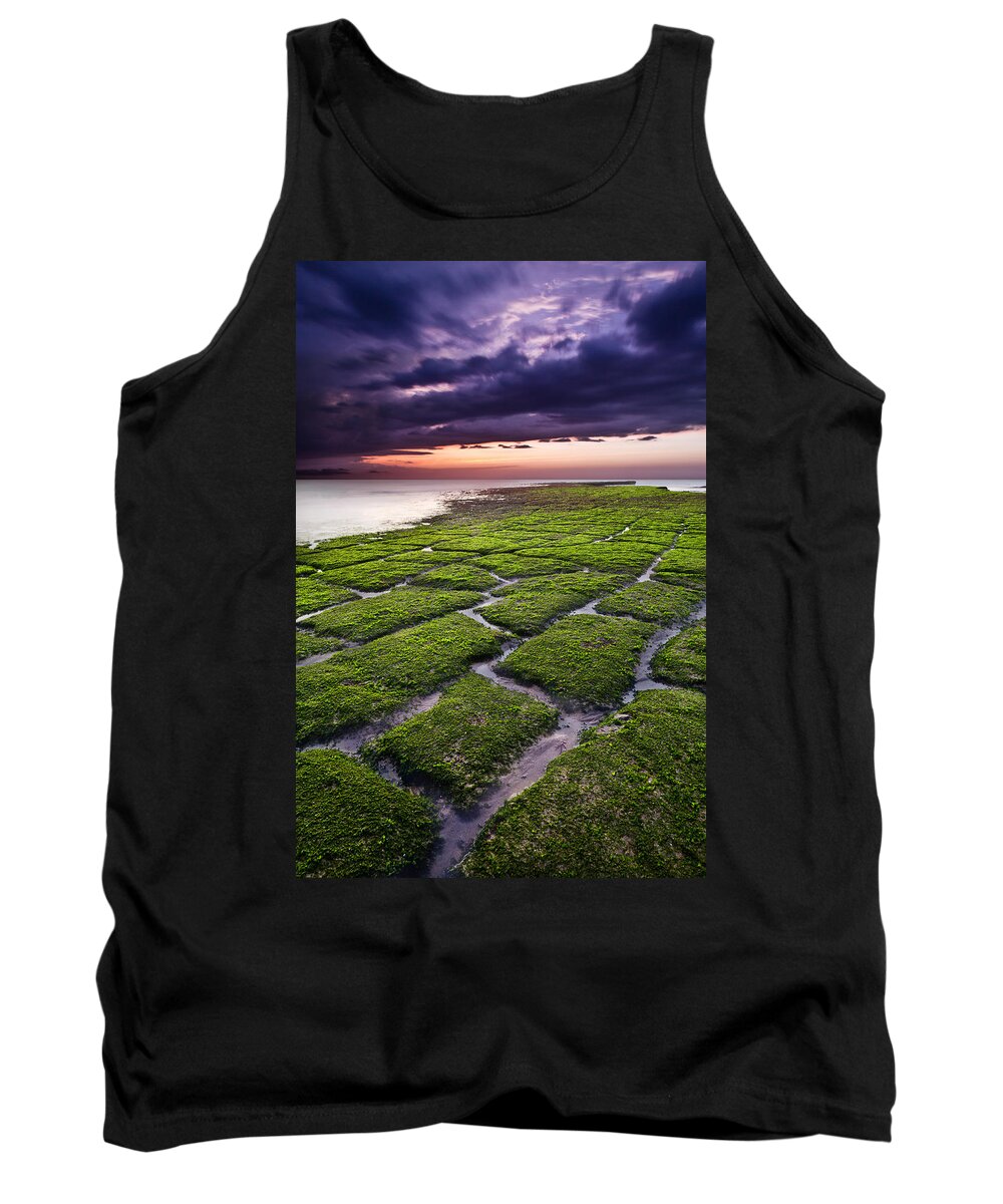Beach Tank Top featuring the photograph Nature's promenade by Jorge Maia
