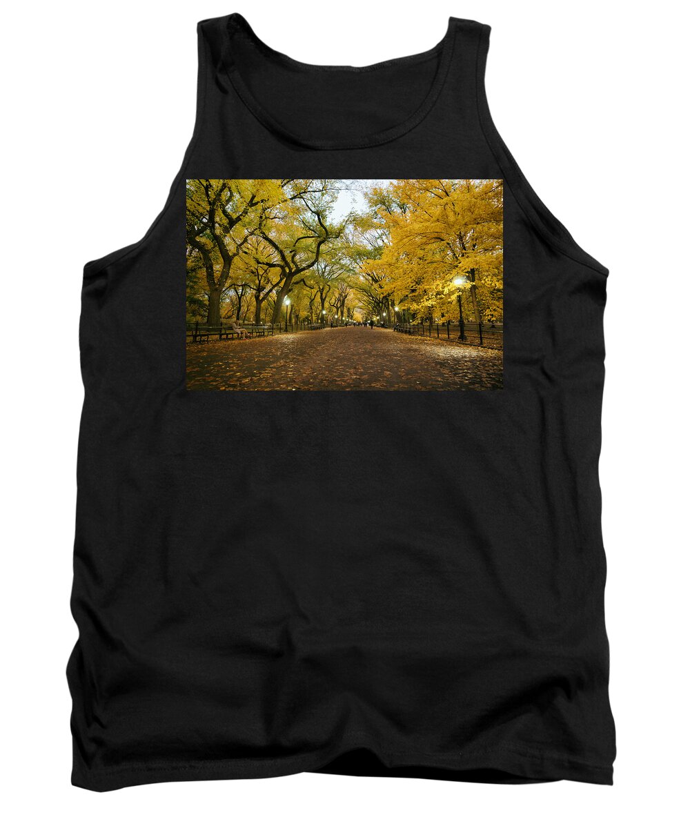 Nyc Tank Top featuring the photograph New York City - Autumn - Central Park - Literary Walk by Vivienne Gucwa