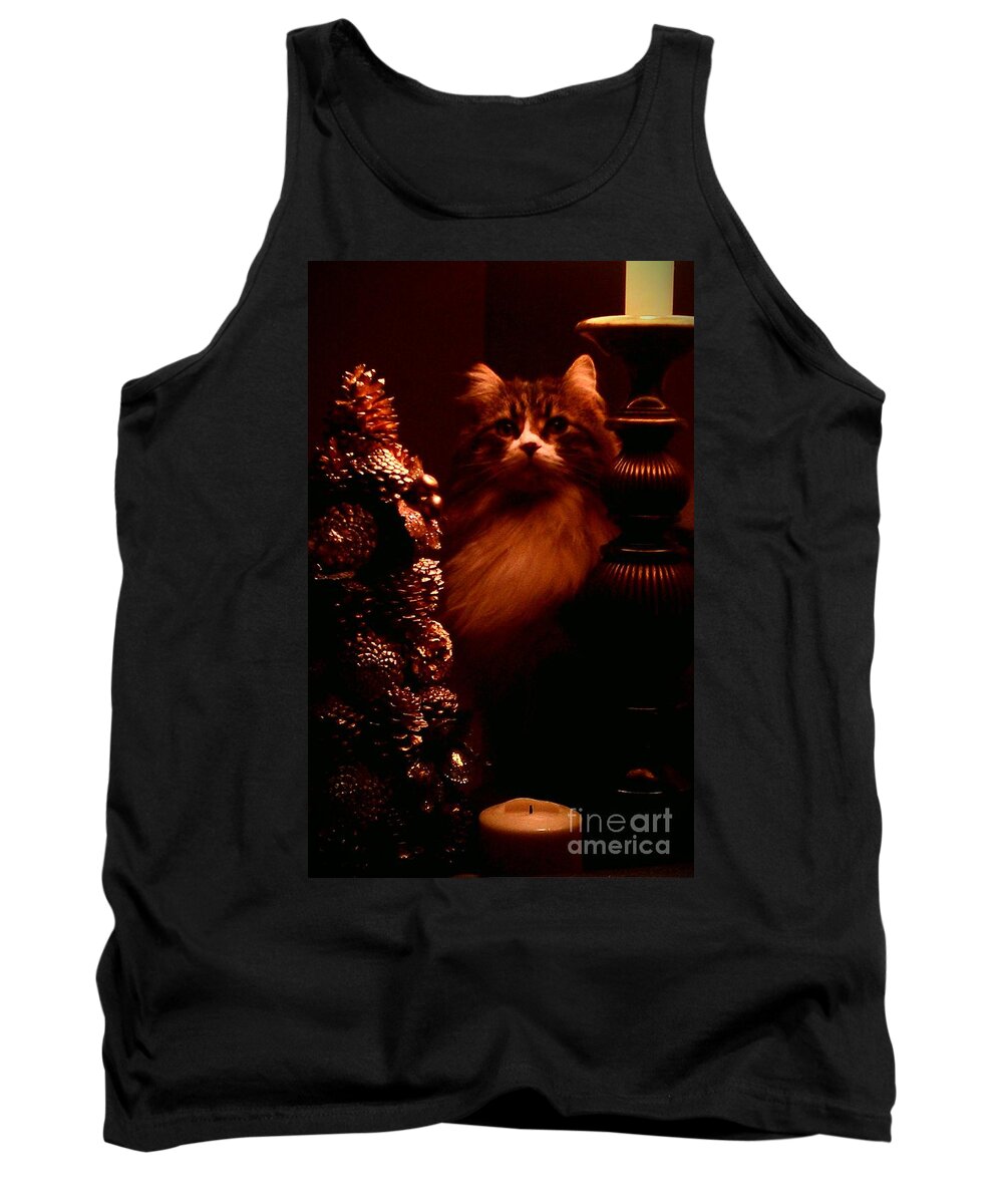 Cat Tank Top featuring the photograph Not A Creature Was Stirring... by Jacqueline McReynolds