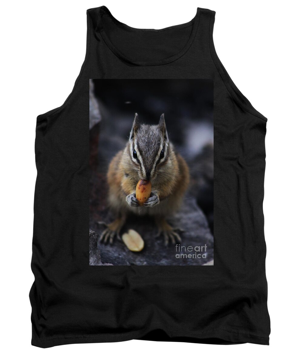 Squirrel Tank Top featuring the photograph Nuts by Alyce Taylor