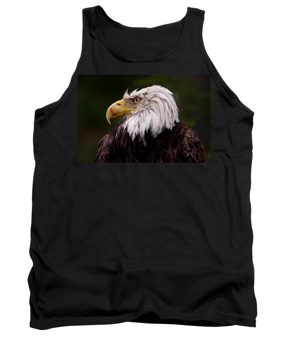 Eagle Tank Top featuring the photograph Old Warrior by Brent L Ander