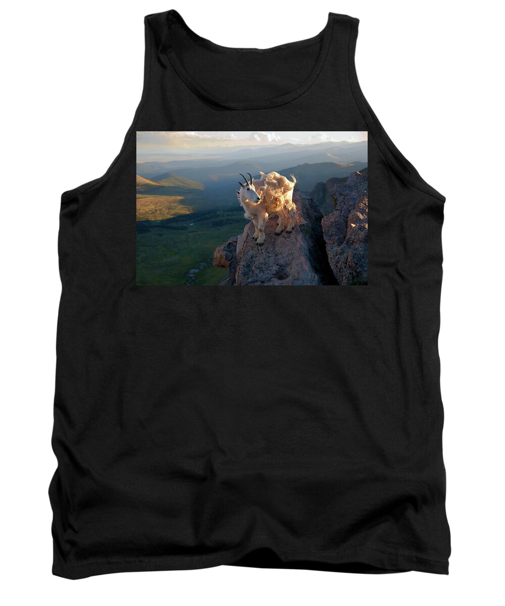Mountain Goats; Sunset; Overlook; Mountain Momma; Goat; Nature; Wildlife; Baby Animal; Mother; Precipice; Outcrop; Cliff; Windy; Tank Top featuring the photograph On a Clear Day by Jim Garrison