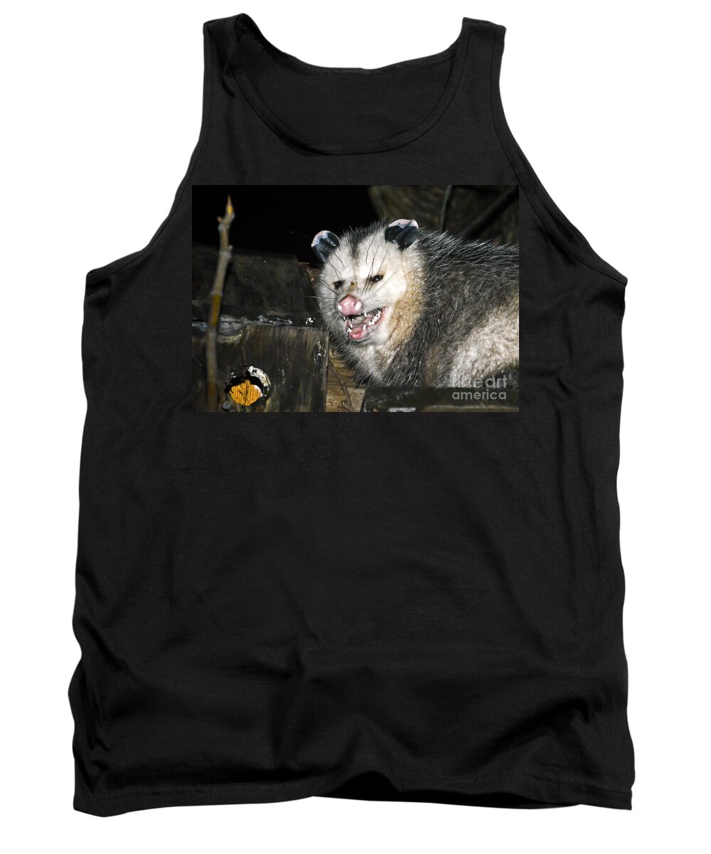 Opossum Tank Top featuring the photograph Opossum by PatriZio M Busnel