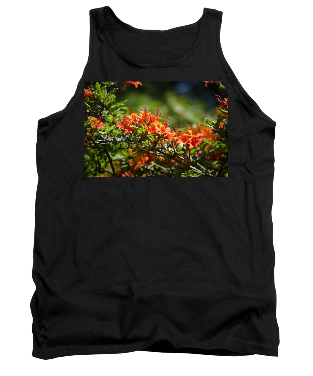 Orange Tank Top featuring the photograph Orange Rhododendron by Spikey Mouse Photography