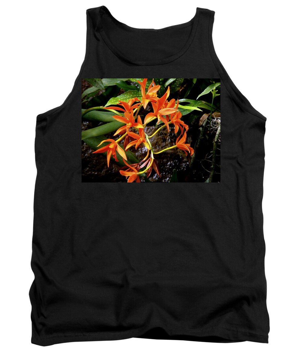 Fine Art Tank Top featuring the photograph Orange Tendrils by Rodney Lee Williams