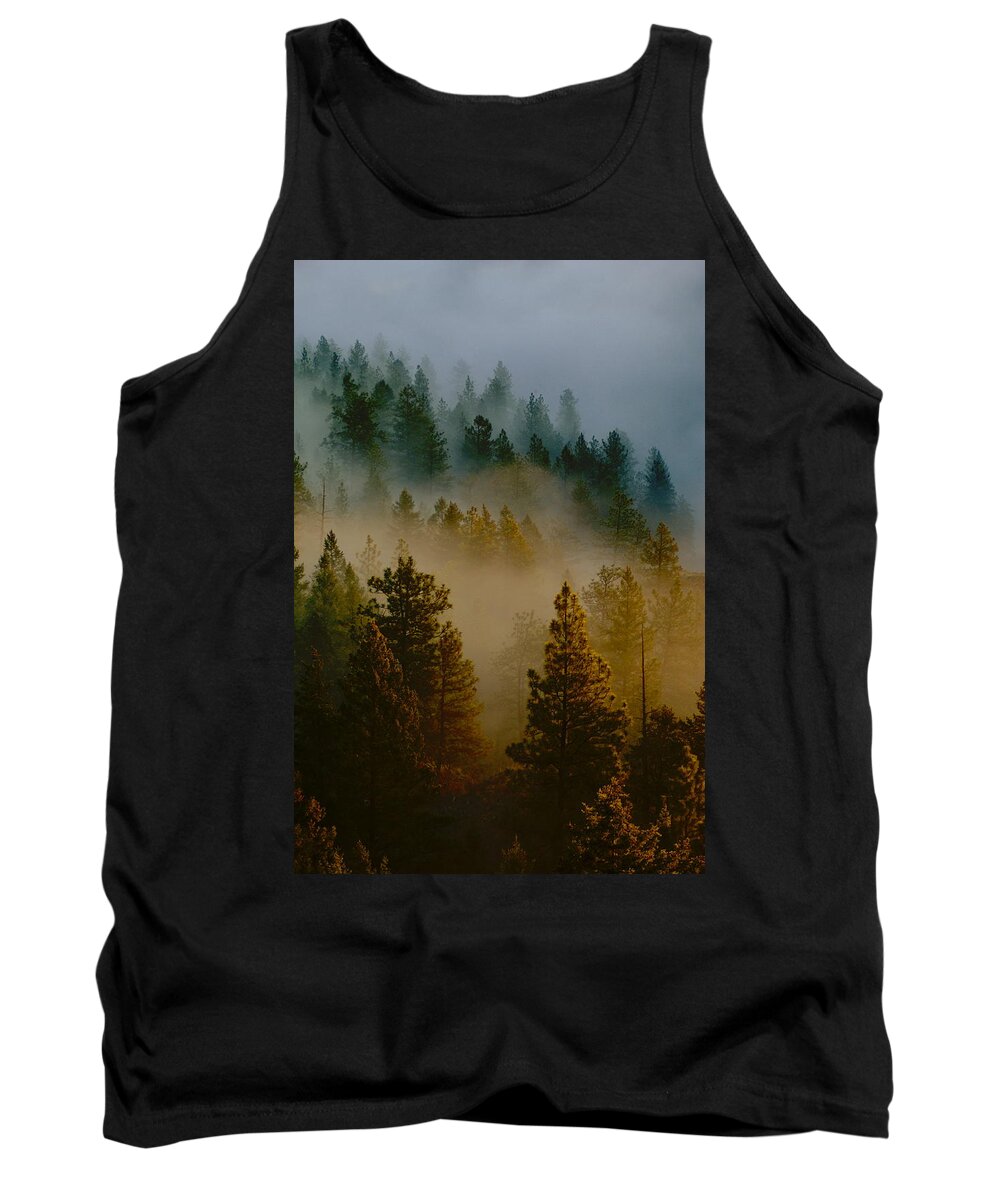 Morning Tank Top featuring the photograph Pacific Northwest Morning Mist by Ben Upham III