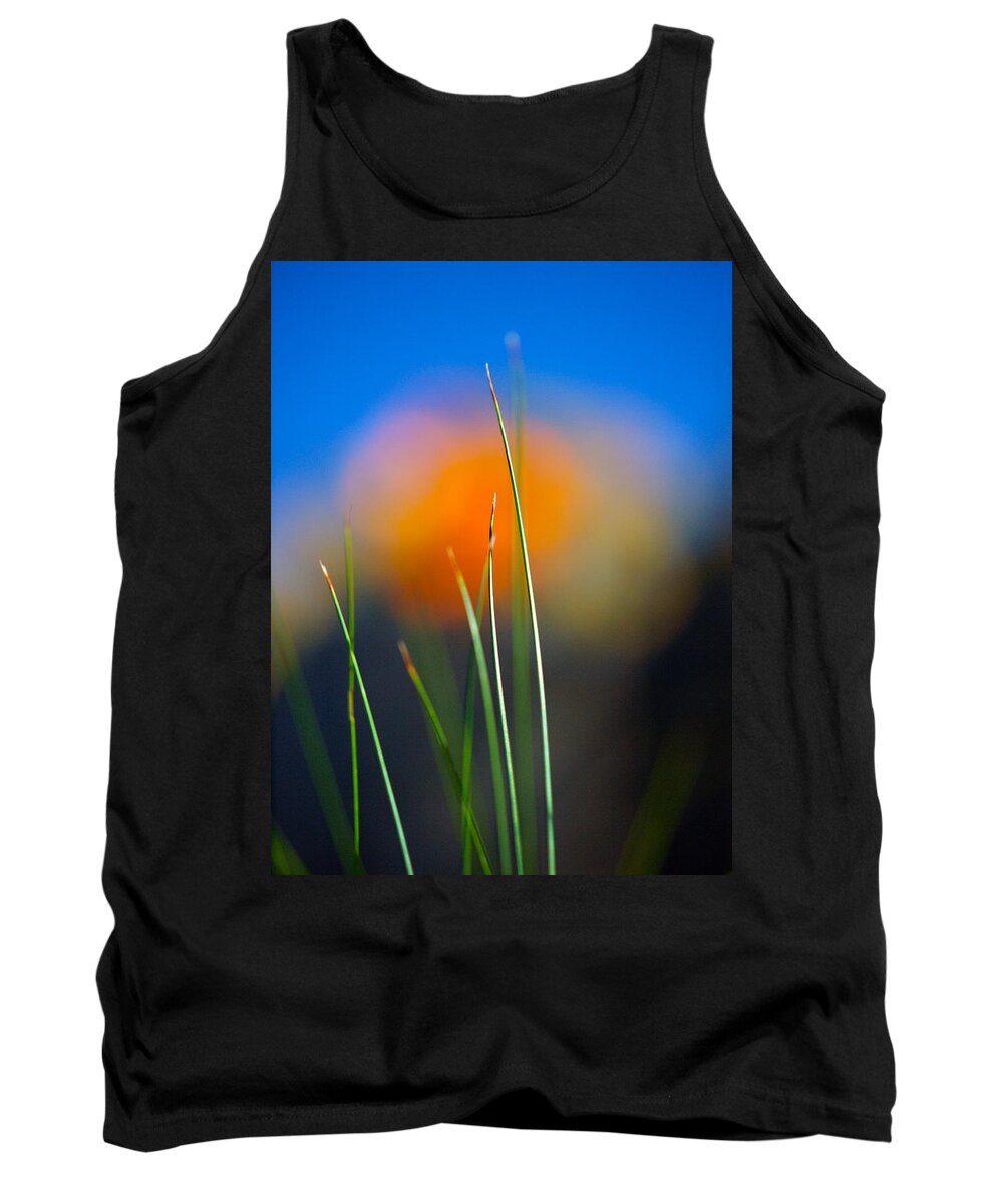 Flora Tank Top featuring the photograph Papyrus by Joe Schofield