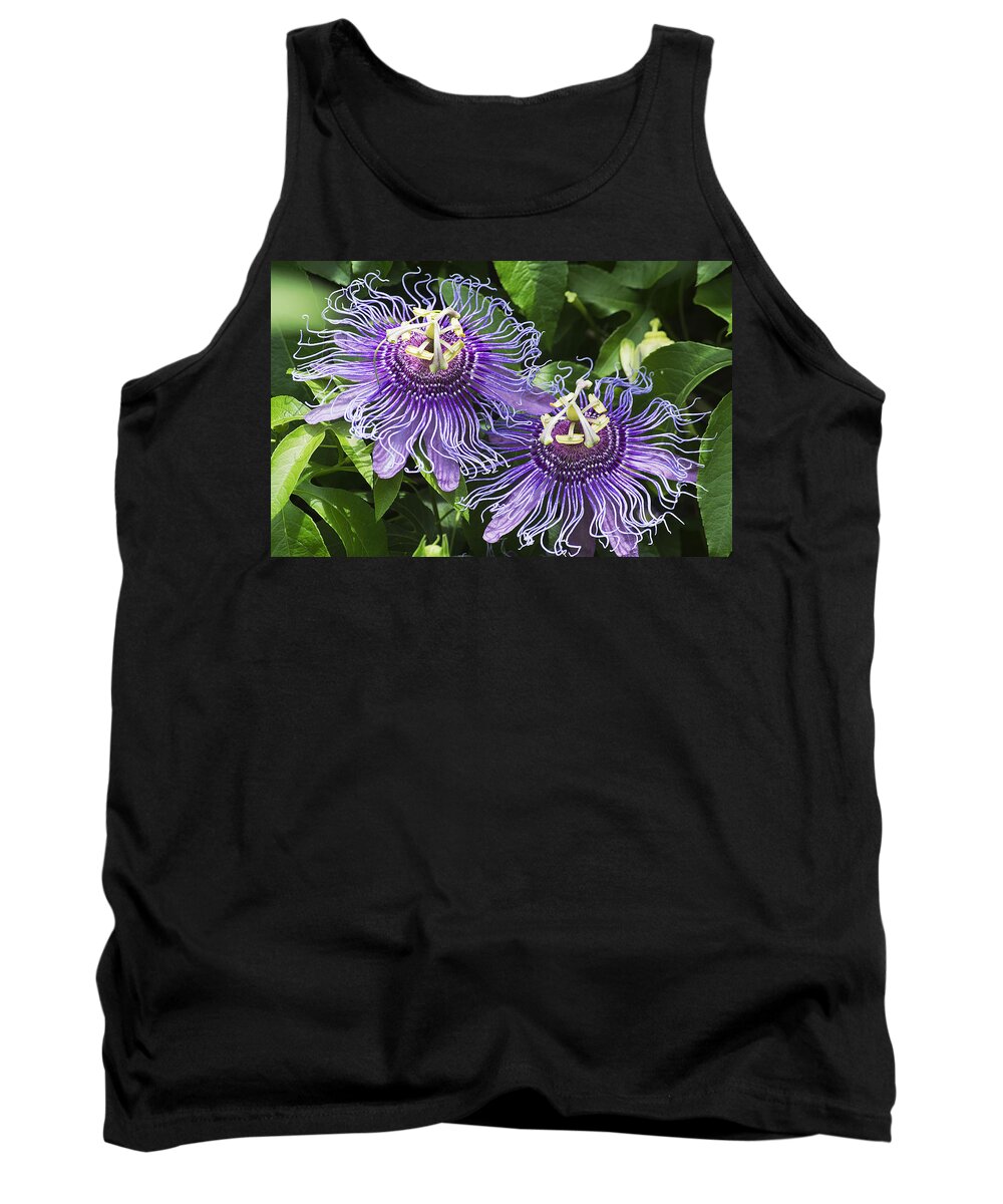 Nature Tank Top featuring the photograph Passion Flowers by Kenneth Albin