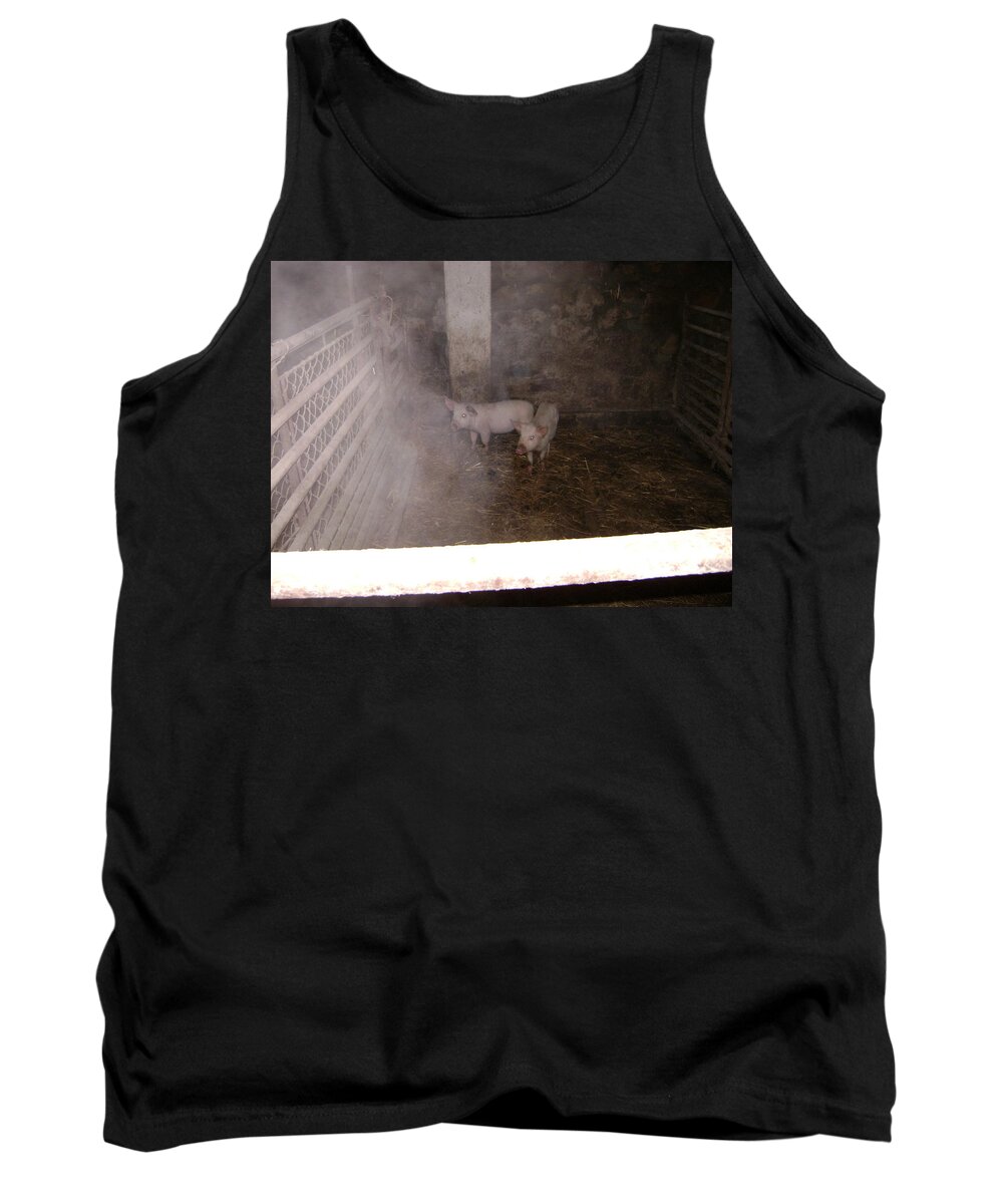 Pigs Tank Top featuring the photograph Piggies by Moshe Harboun