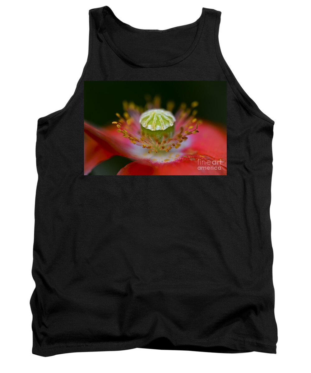 Backyard Tank Top featuring the photograph Poppy by PatriZio M Busnel