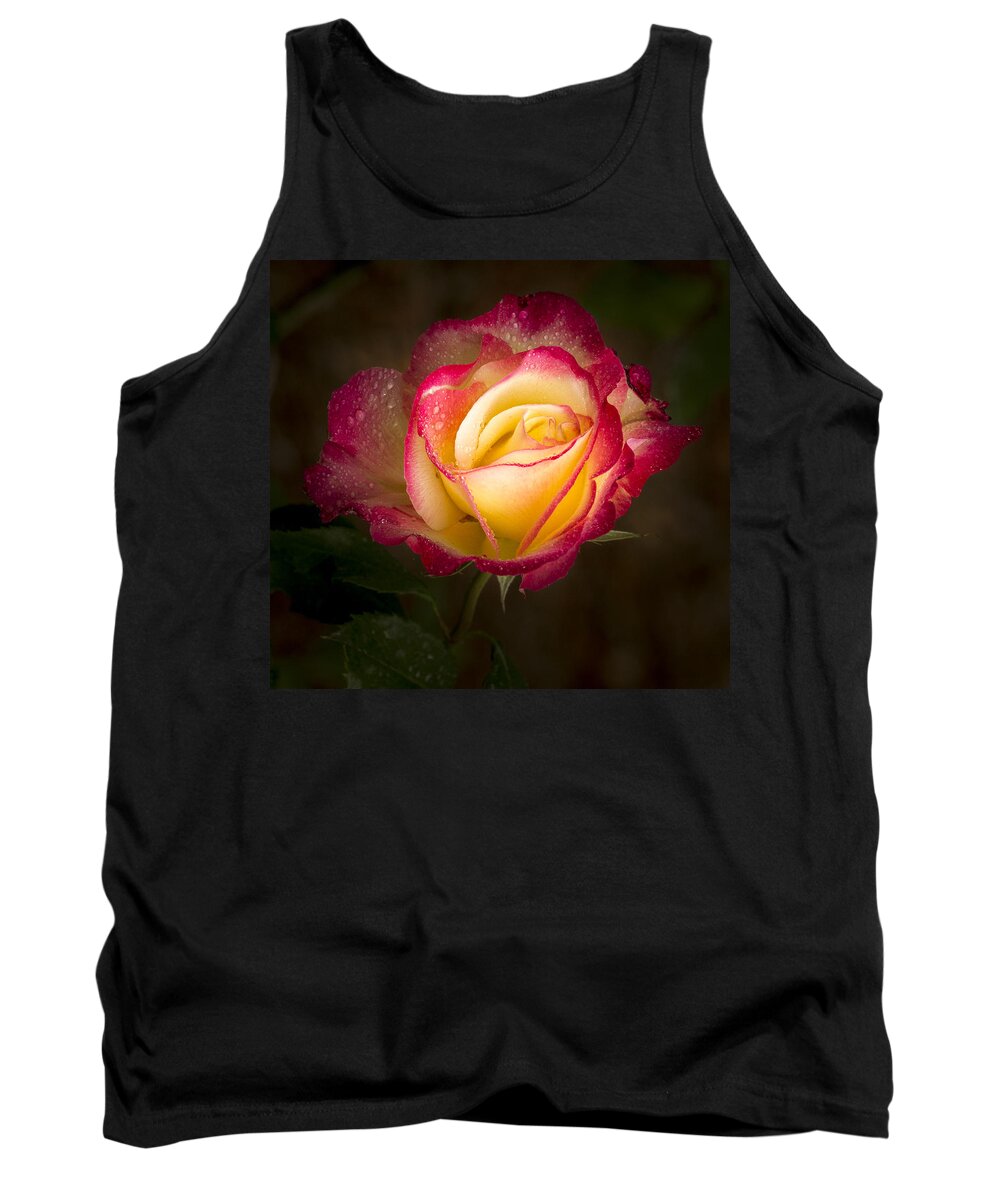 Single Rose Tank Top featuring the photograph Portrait of a Double Delight Rose by Jean Noren