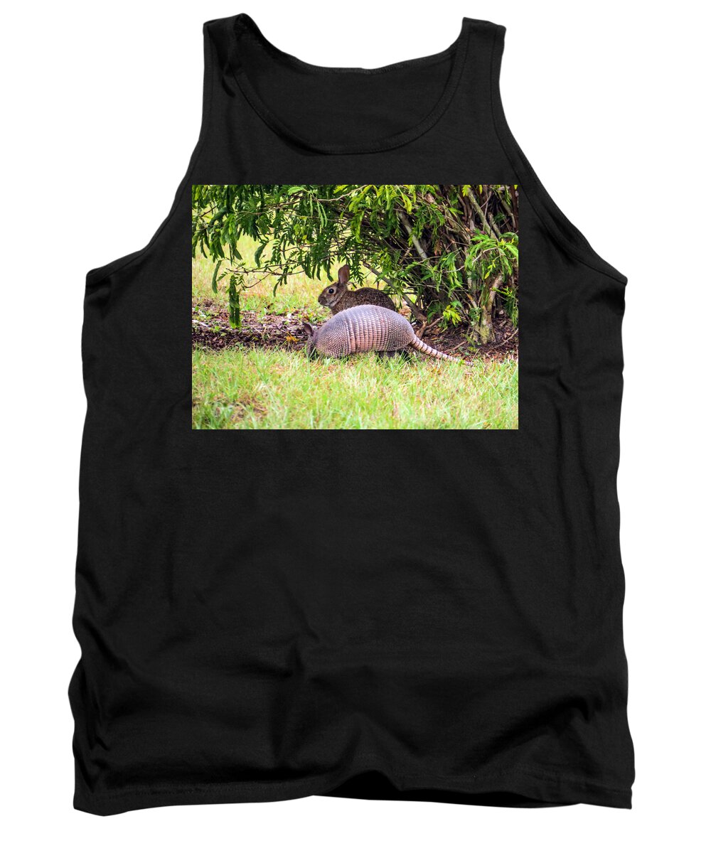 Rabbit Tank Top featuring the photograph Rabbit and armadillo by Zina Stromberg