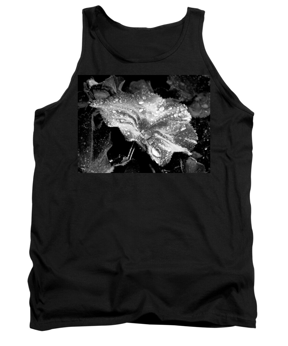 Rain Covered Leaf Tank Top featuring the photograph Raindrop covered leaf by Tracy Winter
