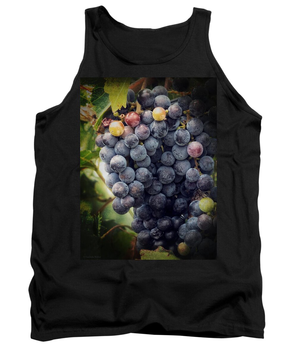 Merlot Tank Top featuring the photograph Ready for Harvest by Lucinda Walter