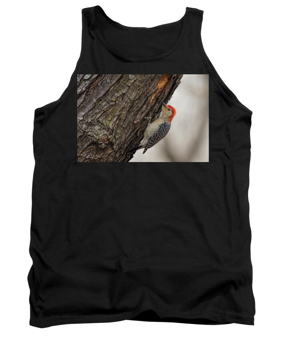 Red-bellied Tank Top featuring the photograph Red-Bellied Woodpecker by Alan Hutchins