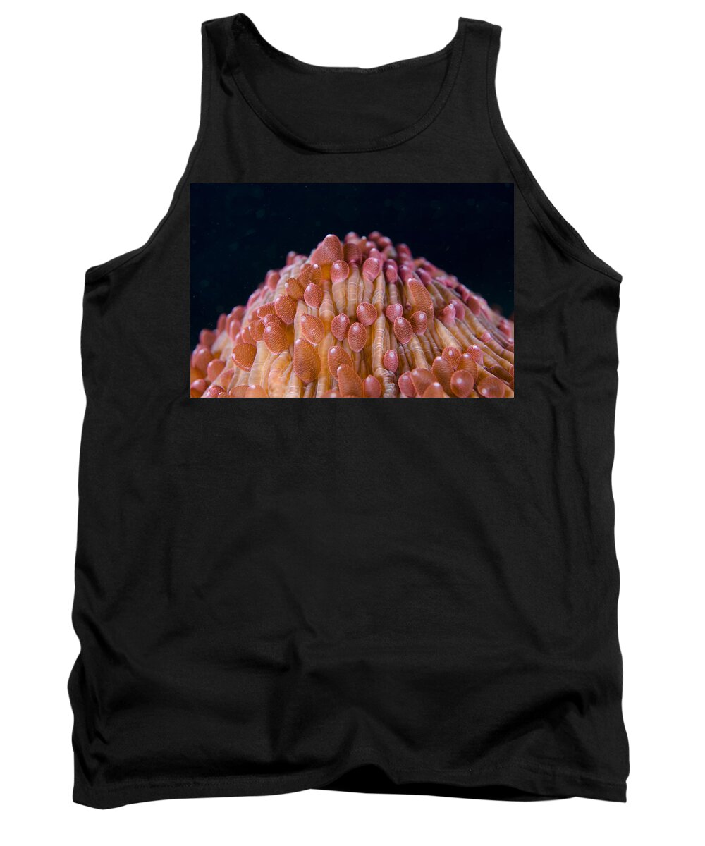 Flpa Tank Top featuring the photograph Red Disc Coral Polyps Sulawesi by Colin Marshall