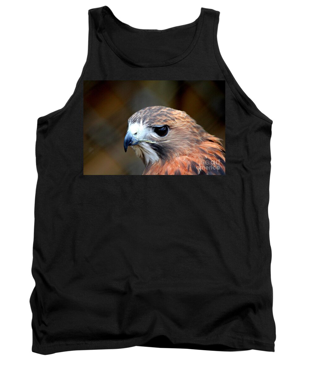Red Tailed Hawk Tank Top featuring the photograph Red Tailed Hawk by Kathy White