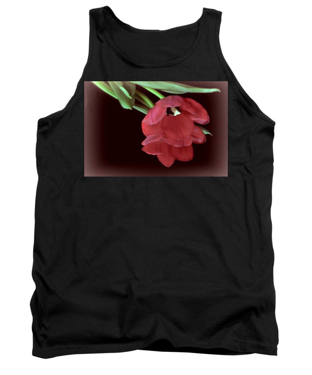 Flower Tank Top featuring the photograph Red Tulip on Burgundy by Phyllis Meinke